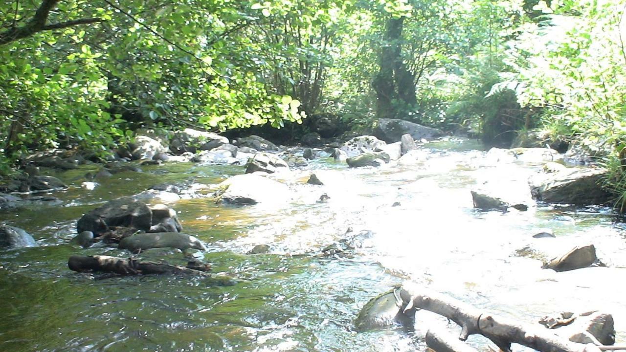 邓凯尔德Country Retreats At Butterstone别墅 外观 照片
